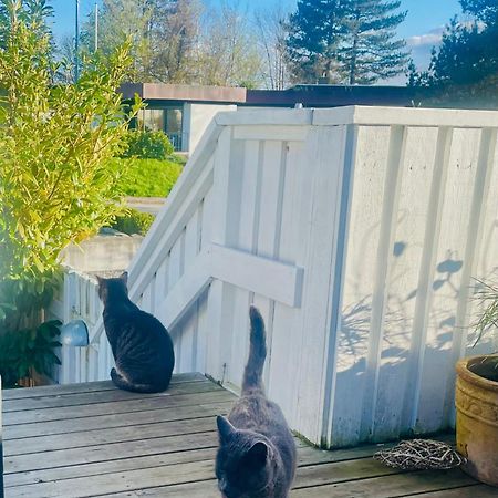 Cool Familyhome Close To The Beach W Two Cuddly Cats Espergærde Eksteriør bilde